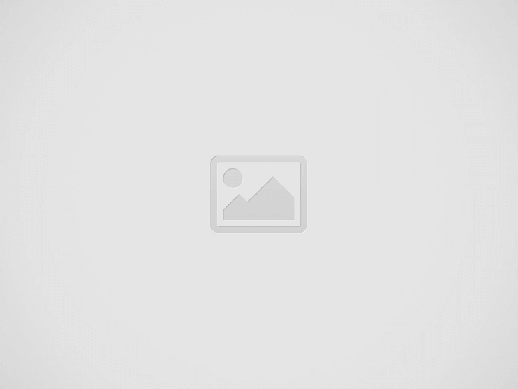 WhatsDog Download Available on Android and iOS