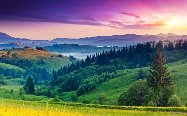 Google Chrome Themes